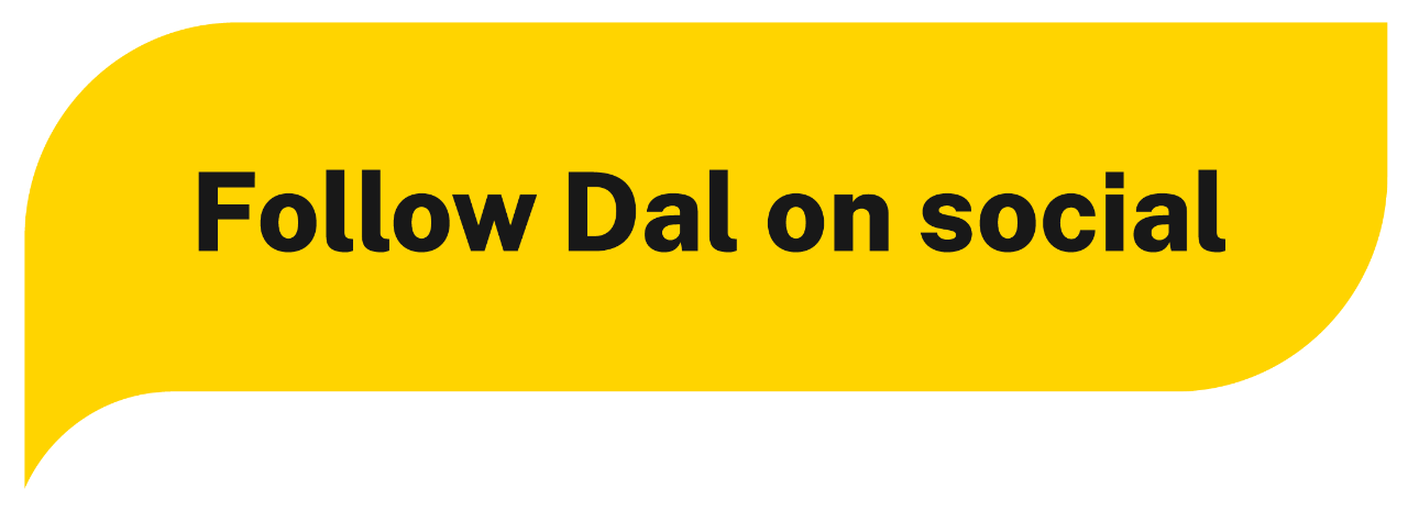 “Follow Dal on social”用粗体字写在黄色背景上。