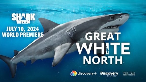 A great white shark is swimming in open water. Text reads: Shark Week, July 10, 2024, World Premiere, Great White North.