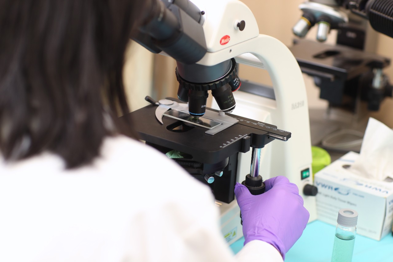 一位戴着紫色手套的研究人员通过显微镜观察。