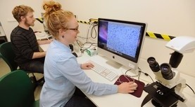 Grad Student looking at data on a computer