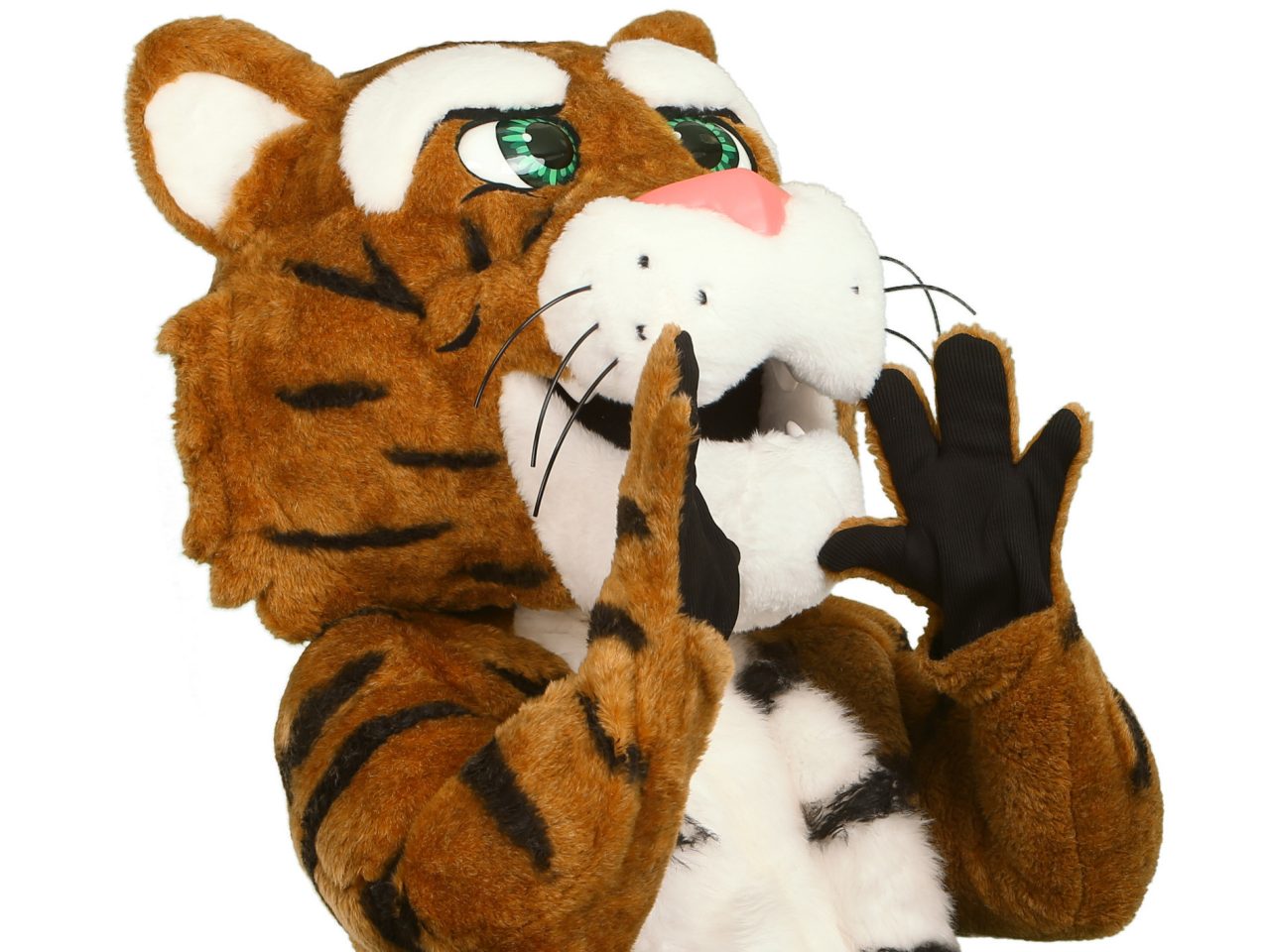 Dalhousie Tiger mascot cheering