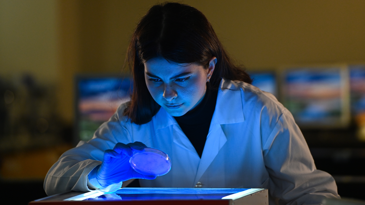 A woman wearing a lab coat and gloves examines a petri dish