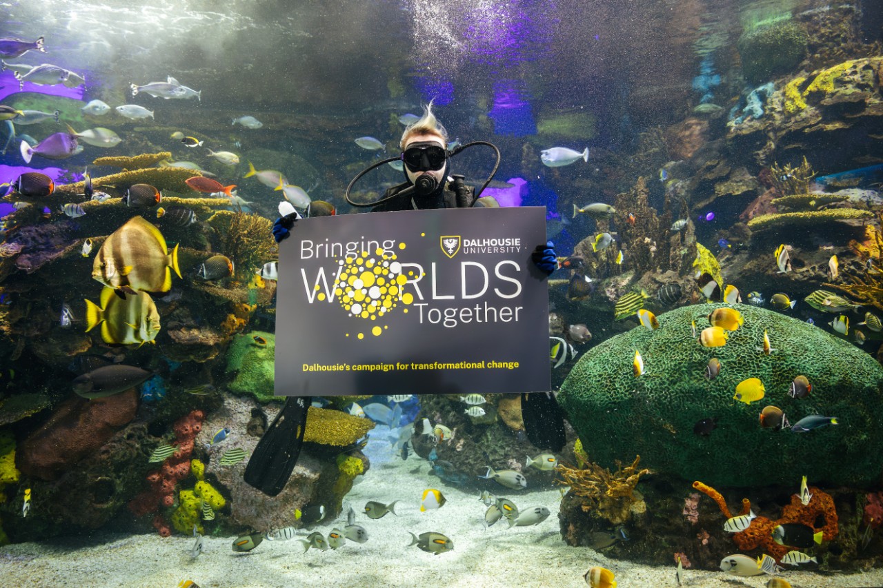 A scuba diver underwater holding a sign that says Bringing Worlds Together